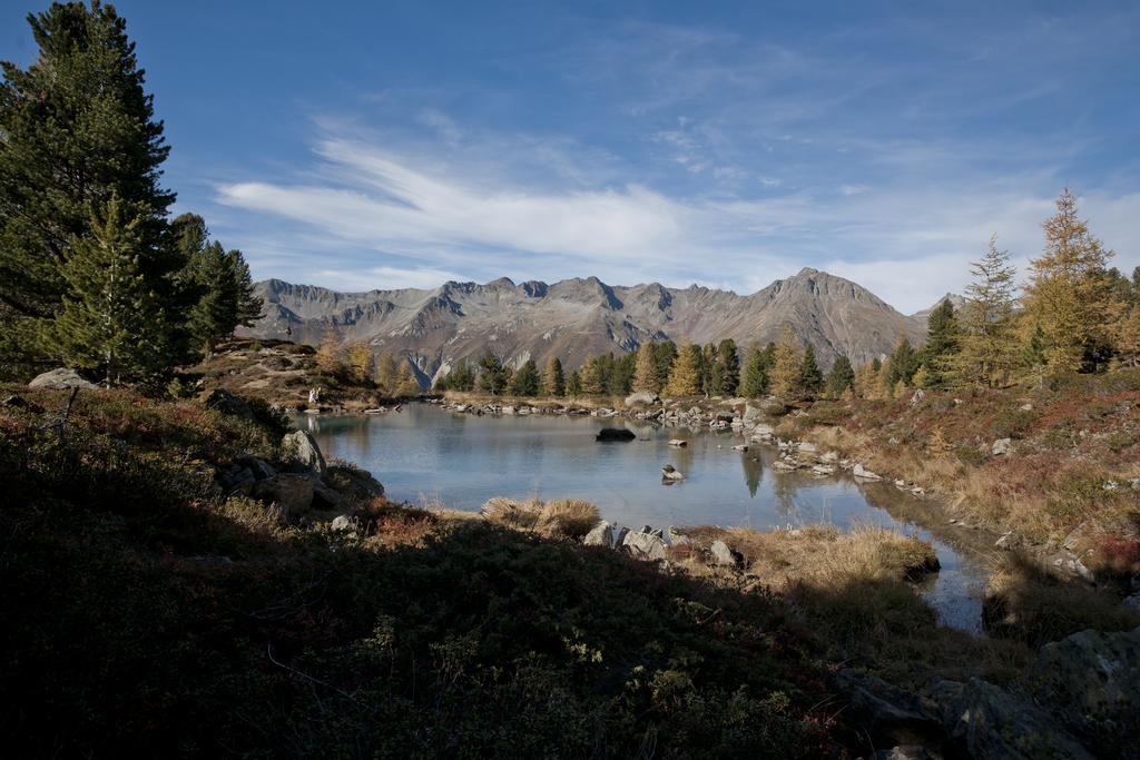Apartment Renate - Im Sommer Inklusive Silvretta Card Premium